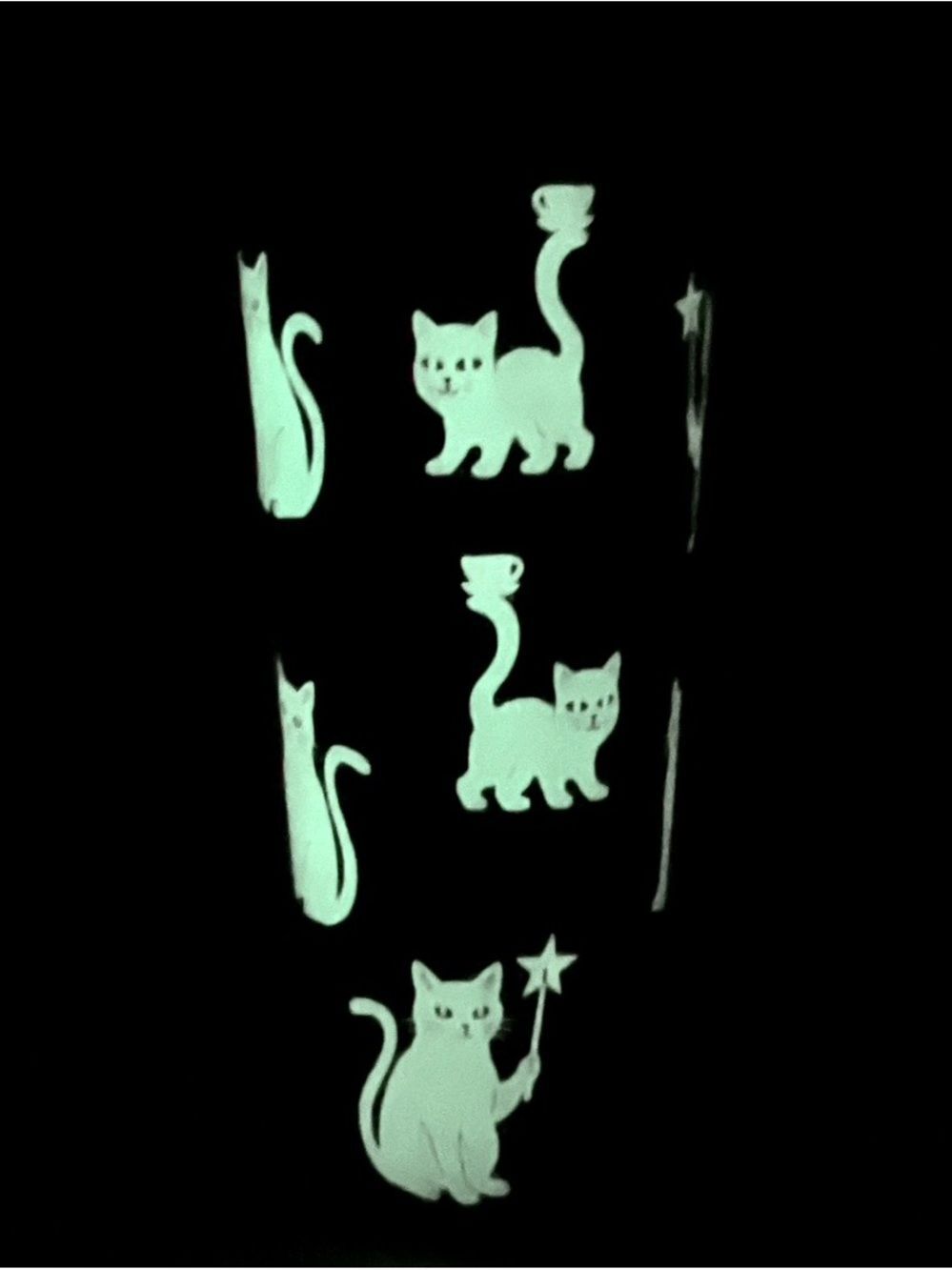 Starbucks Halloween Cats Cold Tumbler 23 oz Glow in the Dark Matte Black